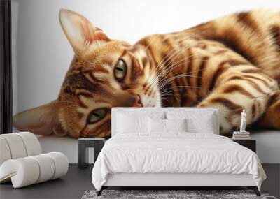 Bengal cat with green eyes lays on a white surface Wall mural