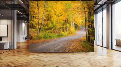 Autumn foliage gravel scenic road Wall mural