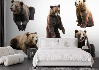 Set of bear over white background Wall mural