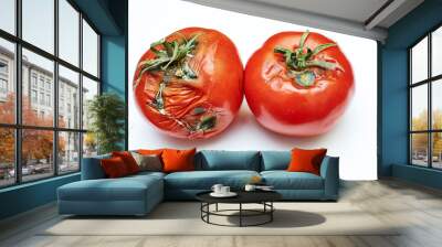 spoiled tomatoes with green tails on an isolated background Wall mural