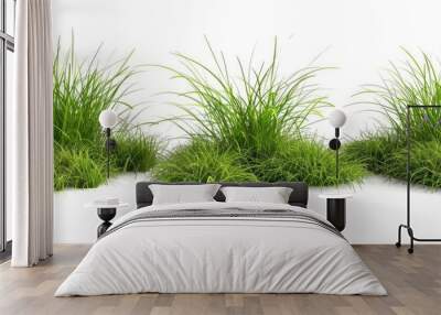 3 green grass backgrounds and 2 grass tufts isolated on white Wall mural