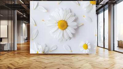 A spring or summer-themed backdrop with room for text: featuring chamomile flowers and petals, along with a white blossom with a yellow center. Captured from above in a flat lay composition. Wall mural