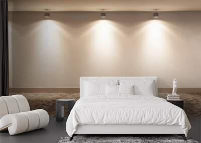 An empty white wall illuminated by two spotlights with a carpeted floor. Wall mural