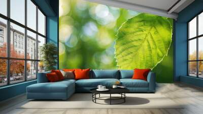 Fresh green leaf close-up with blurred natural background Wall mural