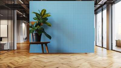 Green-leaved plant in black pot on wooden chair against blue grid wall Wall mural