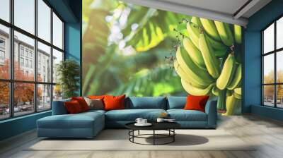 Many ripening green bananas on palm tree branches at a plantation make for fresh and naturally sweet tropical fruits perfect as a healthy sugar alternative. Background with space for food content. Wall mural