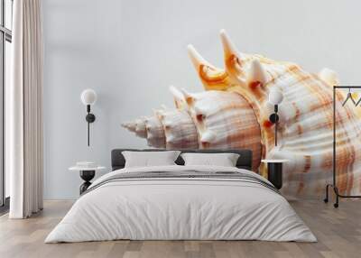 Ocean seashell in close-up on white backdrop Wall mural