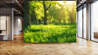 Sunny day. Green grass and bokeh in spring park. Wall mural