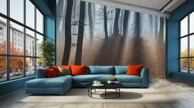 dark dreamy forest with fog Wall mural