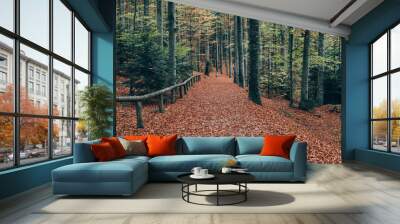 Forest path. Beautiful autumn forest landscape. Wall mural