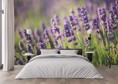 Lavender Wall mural