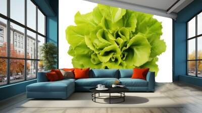 Lettuce isolated on a transparent background created with Generative AI technology Wall mural