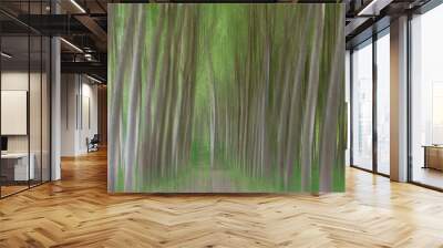 Abstract motion blur of trees in a forest - long exposure  Wall mural