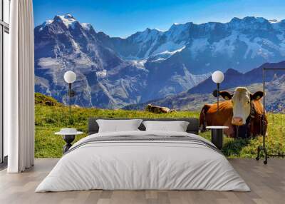 cows in alps Wall mural