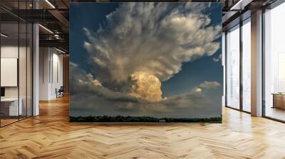 Storms on the Great Plains During Summertime Wall mural