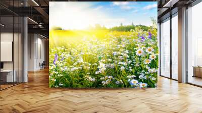 A beautiful, sun-drenched spring summer meadow. Natural colorful panoramic landscape with many wild flowers of daisies against blue sky. A frame with soft selective focus. Wall mural