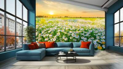 Beautiful, sun-drenched spring summer meadow. Natural colorful panoramic landscape with many wild flowers of daisies against bright orange sun in sunset sky. Wall mural