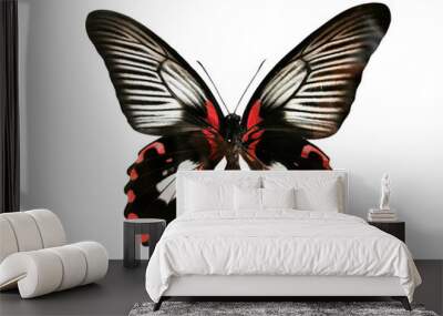 Beautiful black-red butterfly Papilio Rumanzovia with spread wings isolated on white background. Macro. Wall mural