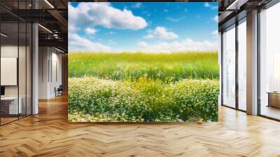 Beautiful blurred spring background nature with blooming glade chamomile, trees and blue sky on a sunny day. Wall mural