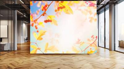 Beautiful bright autumn nature panoramic background with golden yellow leaves and orange autumn berries glows  in the sun on a background of blue and turquoise sky close-up, free copy cpace. Wall mural