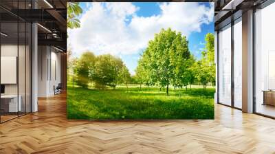 Beautiful bright colorful summer spring landscape with trees in Park, juicy fresh green grass on lawn and sunlight against  blue sky with clouds. Wide format. Wall mural