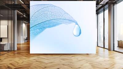 Beautiful drop of pure water on a transparent leaf on a light blue background close-up macro. The concept for ecology and environmental protection. Wall mural