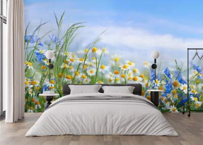 beautiful field meadow flowers chamomile, blue wild peas in morning against blue sky with clouds, na Wall mural