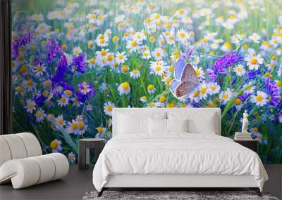 Beautiful field meadow flowers chamomile and violet wild bells and  butterfly in summer morning in green grass on nature. Wall mural