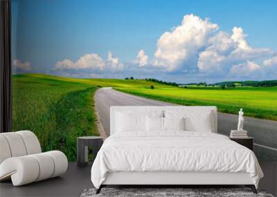 Beautiful idyllic landscape in countryside banner format with a wide field of cereals and a pasture divided by a deserted asphalt road against a blue summer sky. Wall mural