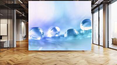 Beautiful large transparent water drops or rain water on blue purple turquoise soft background, macro. Elegant delicate artistic image nature. Wall mural