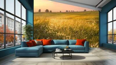 Beautiful morning natural summer landscape with a field of wild grass and textured expressive sky. Vibrant gold sunrise over a rural landscape. Wall mural