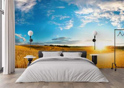 Beautiful natural landscape panorama of golden wheat field at sunset against background of evening blue sky with clouds. Bright colorful pastoral image. Wall mural