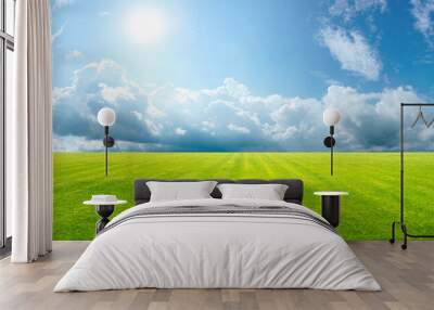 Beautiful natural scenic panorama green field of cut grass into and blue sky with clouds on horizon. Perfect green lawn on summer sunny day. Wall mural