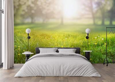 Beautiful spring natural background. Landscape with young lush green grass with blooming dandelions against the background of trees in the garden. Wall mural