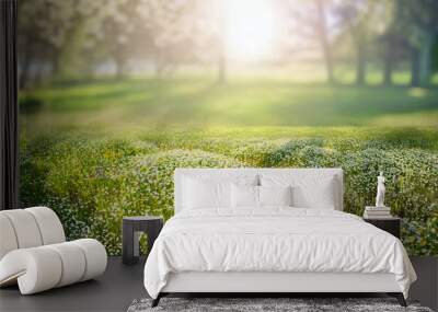 Beautiful spring natural landscape. Spring background image with blooming young lush grass in a clearing against a background of trees. Wall mural