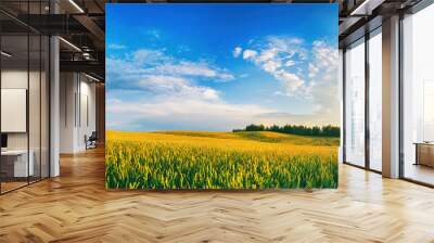 Beautiful summer rural natural landscape with ripening wheat fields, blue sky with clouds in warm day. Panoramic view of spacious hilly area. Wall mural