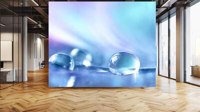 Beautiful transparent drops of rain water on a feather on a blue and violet background, macro, copy space. Bright colorful artistic image of nature. Wall mural