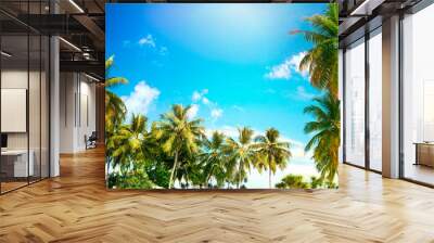 Beautiful tropical palm trees against blue sky with white clouds. Natural background with copy space. Wall mural