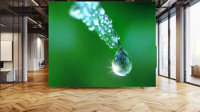 Beautiful water drop on grass sparkles in the sunlight on nature close-up macro. Fresh juicy green grass in droplets of morning dew outdoors. Wall mural