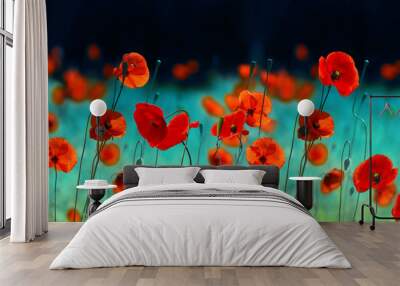 Blooming red poppies in field spring in nature on dark turquoise background with soft focus, macro. Bright colorful artistic image, floral scenery, panorama. Wall mural