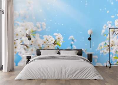 Branches of blossoming cherry macro with soft focus on gentle light blue sky background in sunlight with copy space. Beautiful floral image of spring nature panoramic view. Wall mural