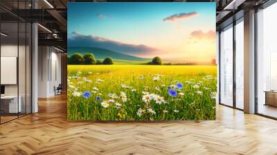 Bright beautiful romantic panoramic natural landscape of summer meadow with daisies against blue sky with clouds on sunset. Wall mural