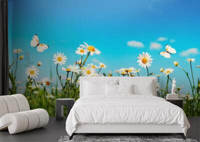 Chamomiles daisies macro in summer spring field on background blue sky with sunshine and a flying white butterfly, close-up macro. Summer landscape, natura with copy space, panoramic view. Wall mural