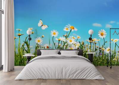 Chamomiles daisies macro in summer spring field on background blue sky with sunshine and a flying white butterfly, close-up macro. Summer landscape, natura with copy space. Wall mural