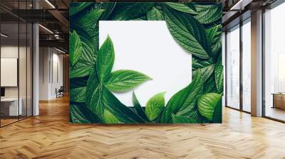 Creative layout composition frame of juicy green leaves with beautiful texture with paper card note, macro. Flat lay. Nature concept, copy space. Wall mural