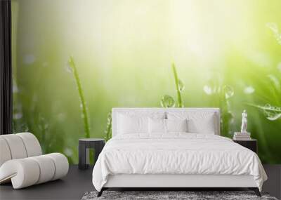 Juicy lush green grass on meadow with drops of water dew in morning light in spring summer outdoors close-up macro, panorama. Beautiful artistic image of purity and freshness of nature, copy space. Wall mural