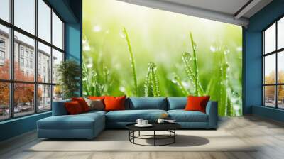 Juicy lush green grass on meadow with drops of water dew in morning light in spring summer outdoors close-up macro, panorama. Beautiful artistic image of purity and freshness of nature, copy space. Wall mural