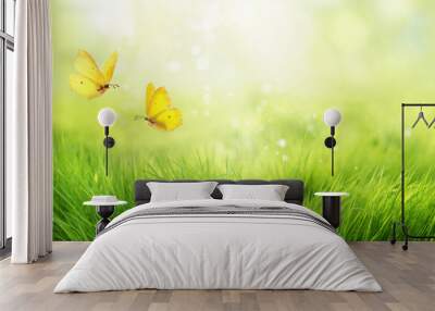 Natural green background of young juicy grass in sunlight with beautiful bokeh. Lush grass macro and two flying butterflies in nature outdoors, wide format with copy space. Wall mural