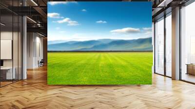 Panoramic natural landscape with green grass field, blue sky with clouds and and mountains in background. Panorama summer spring meadow. Shallow depth of field. Wall mural