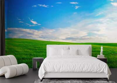 Panoramic natural landscape with green grass field and blue sky with clouds with curved horizon line. Panorama summer spring meadow. Wall mural